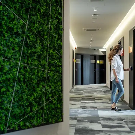 Zeneva Lux كراغوييفاك